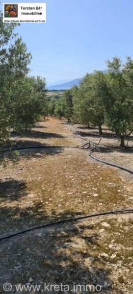 Kamilari Traumhaftes Grundstück mit 360° Panoramablick auf das lybische Meer und den höchsten Berg Kretas, den Psiloritis Grundstück